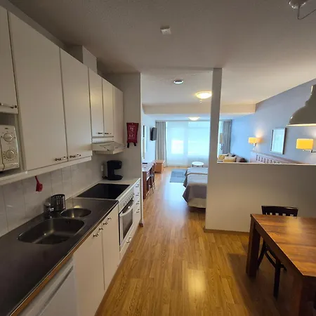 公寓 Ikaalisten Kylpylae Rantahuoneisto Terme *