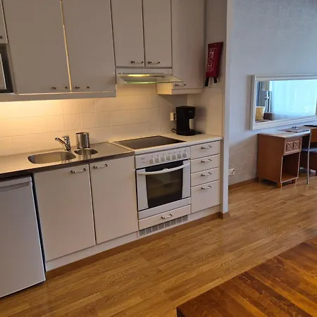 Ikaalisten Kylpylae Rantahuoneisto Terme 公寓